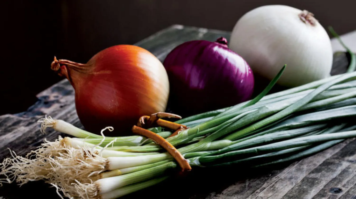 All types of onions