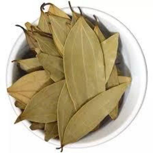 _Bay laurel