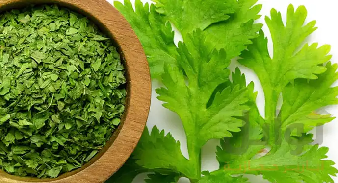 Dried coriander