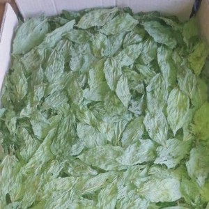Dried mallow leaves(molokhiya)