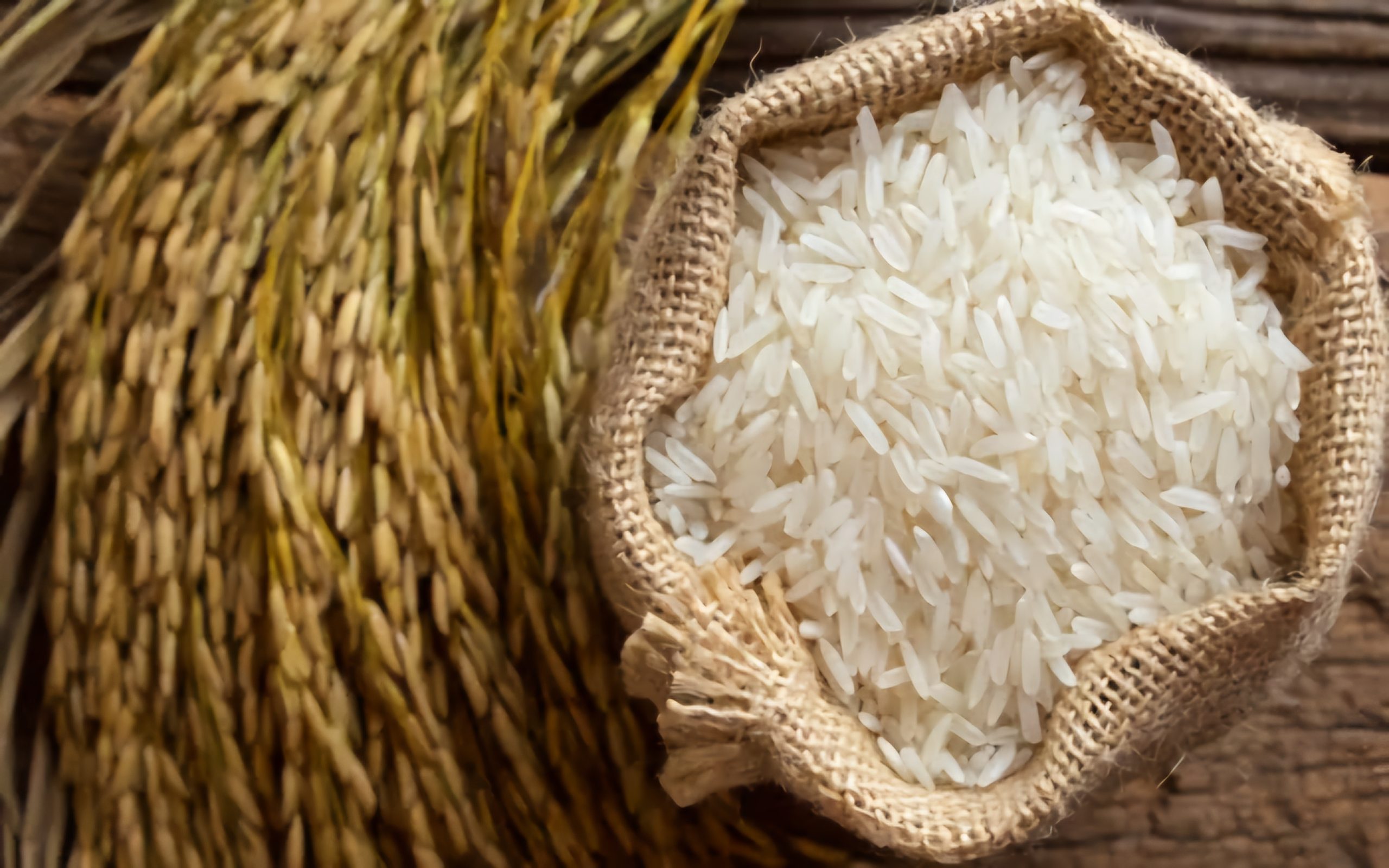 Egyptian white rice