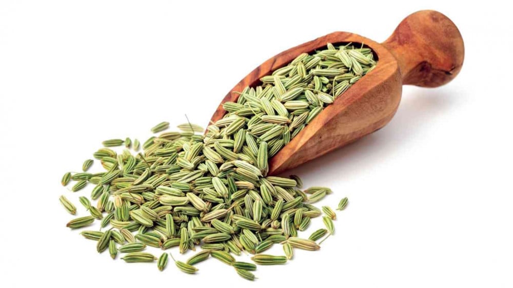 _Fennel seeds