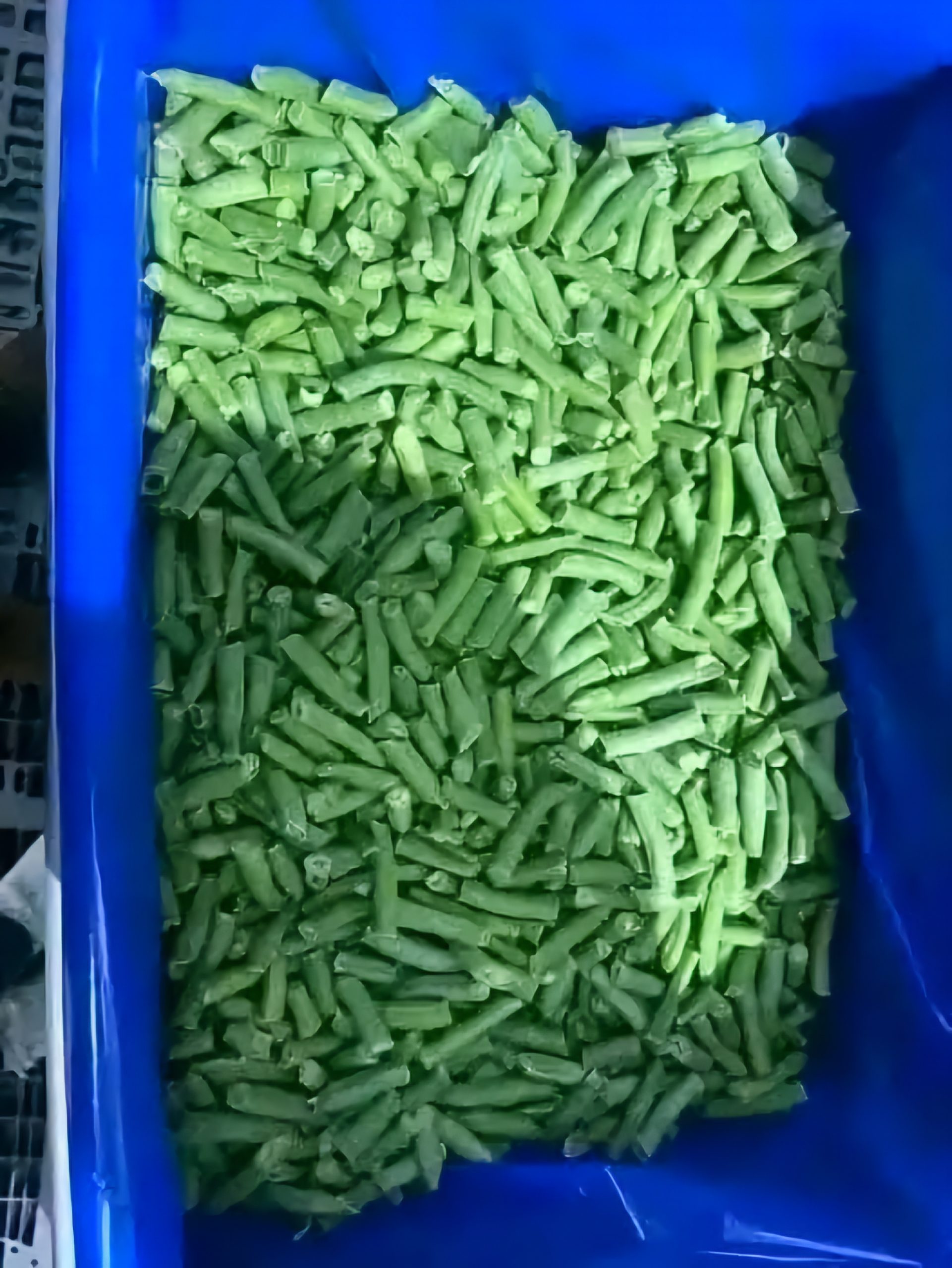 Frozen green beans
