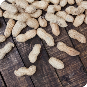 In-shell Peanut