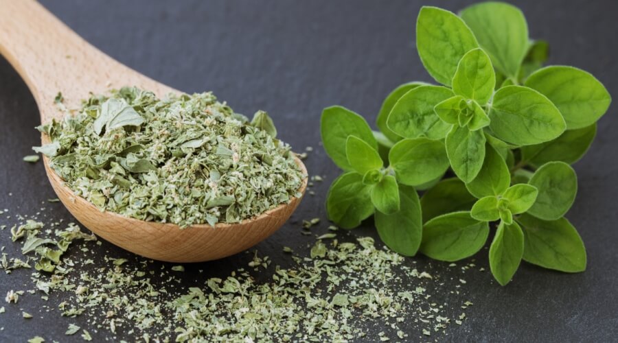 Marjoram herb
