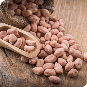 Peanut Kernel