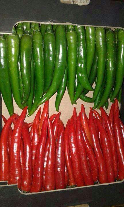 Pepper pods