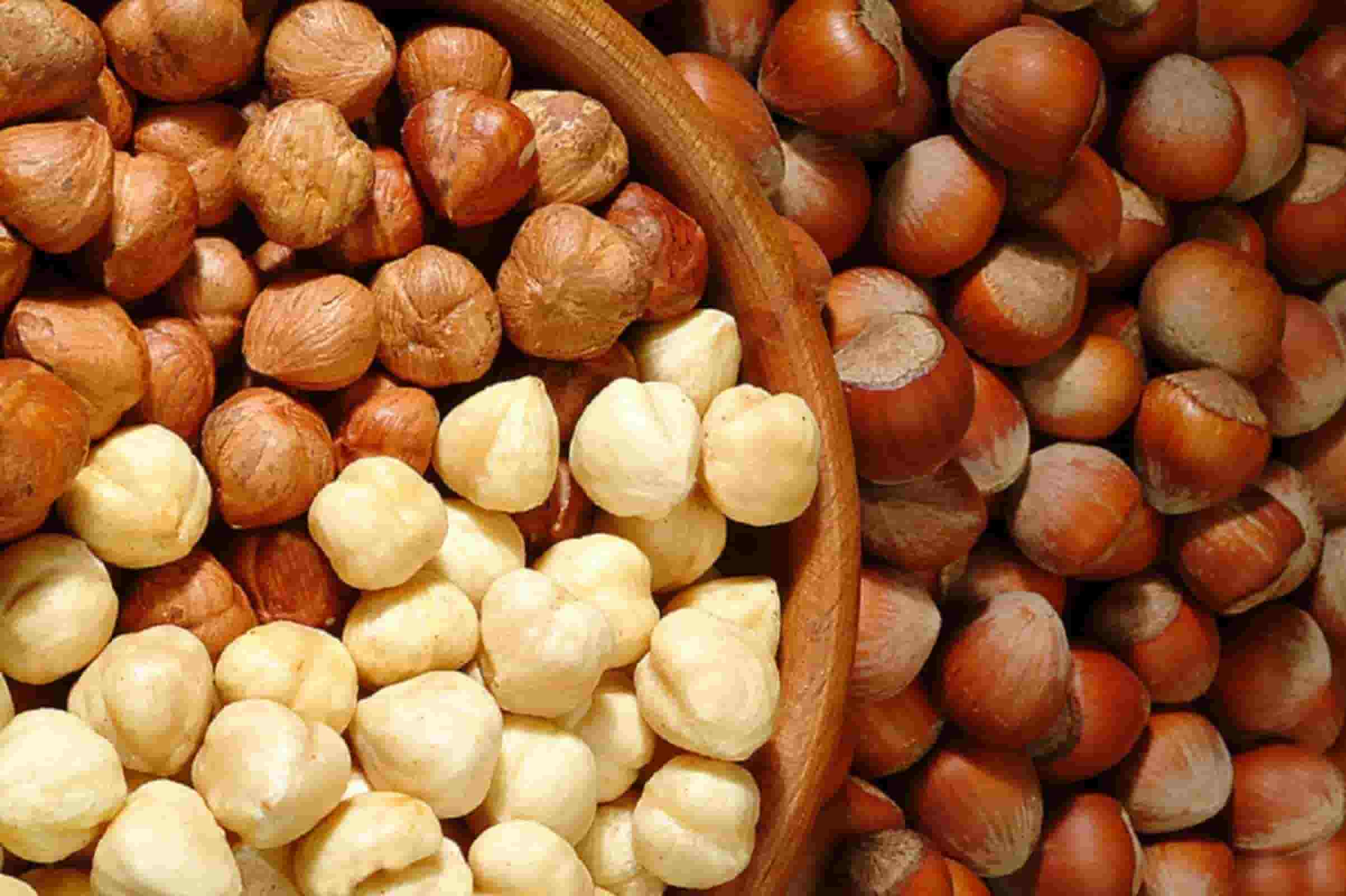 Red Hazelnut without Shell