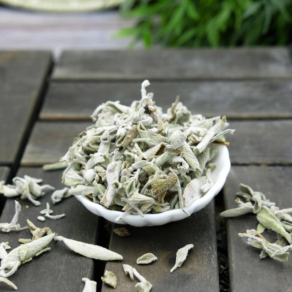 Sage herb