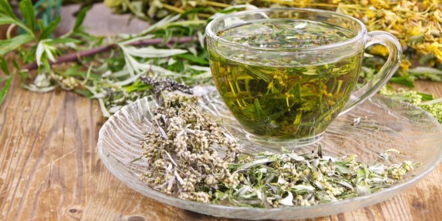 Wormwood herb