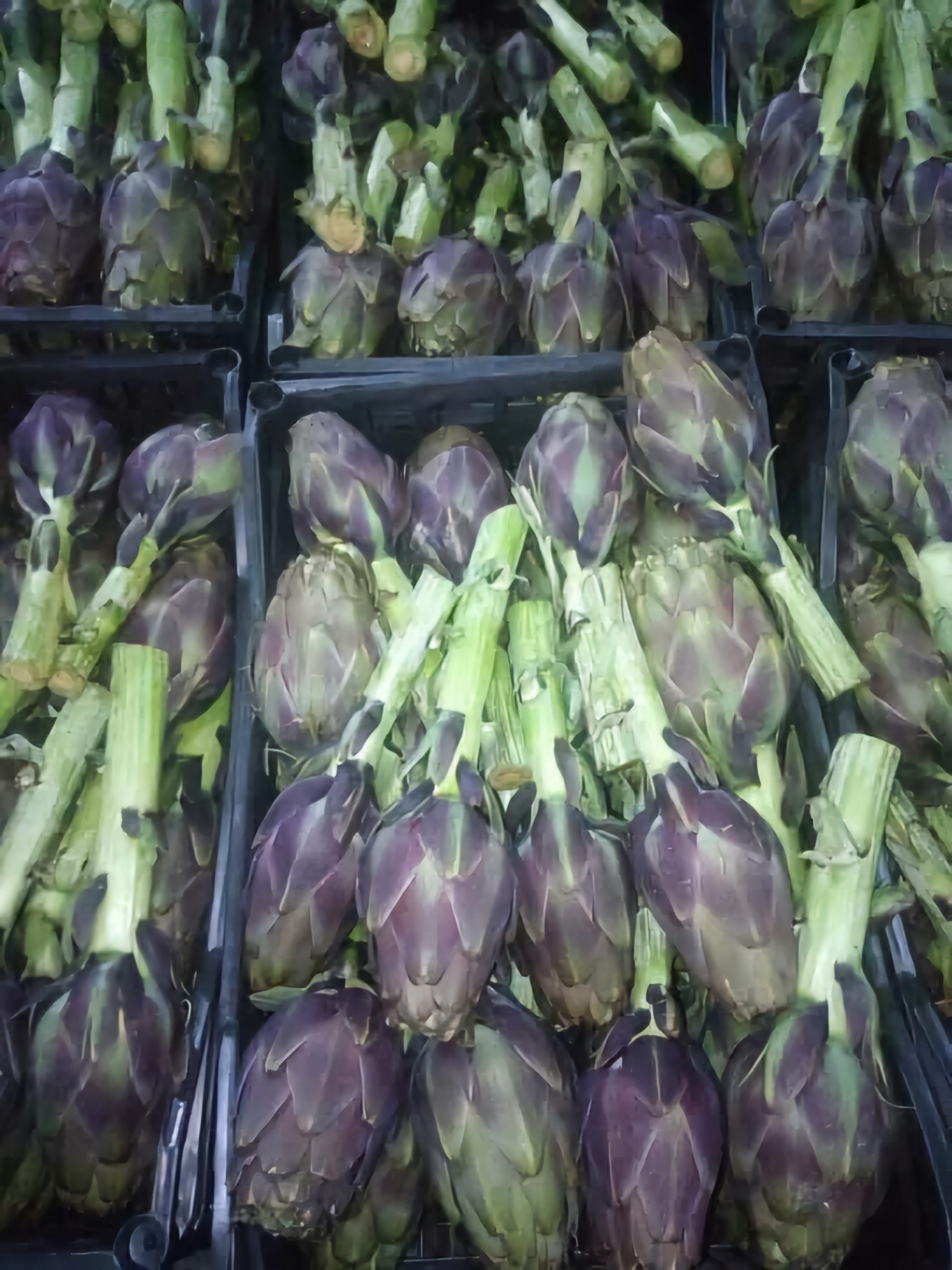 artichoke
