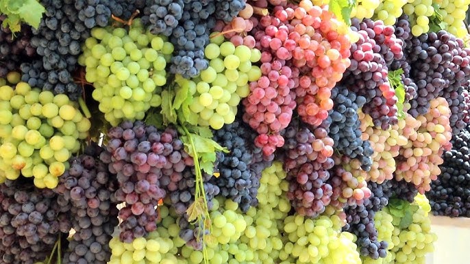 grapes