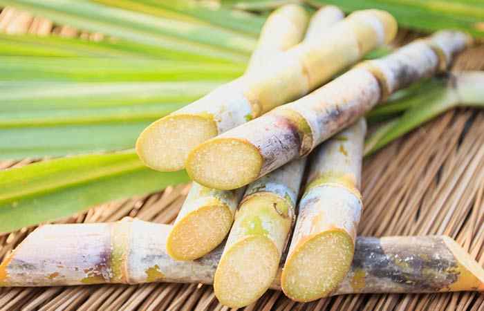 sugar-cane