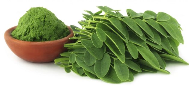 ‪Moringa